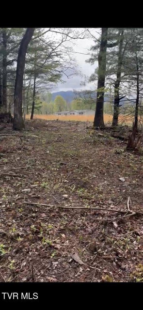 Photo #5: Lot 5 Laws Road