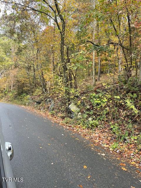 Photo #2: Tbd Lloyds Chapel Road