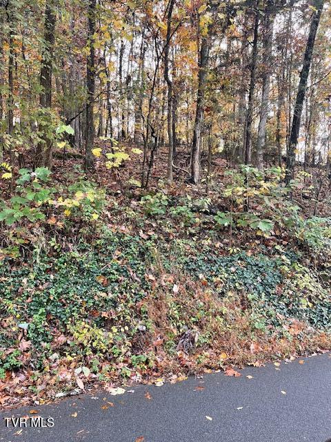 Photo #4: Tbd Lloyds Chapel Road