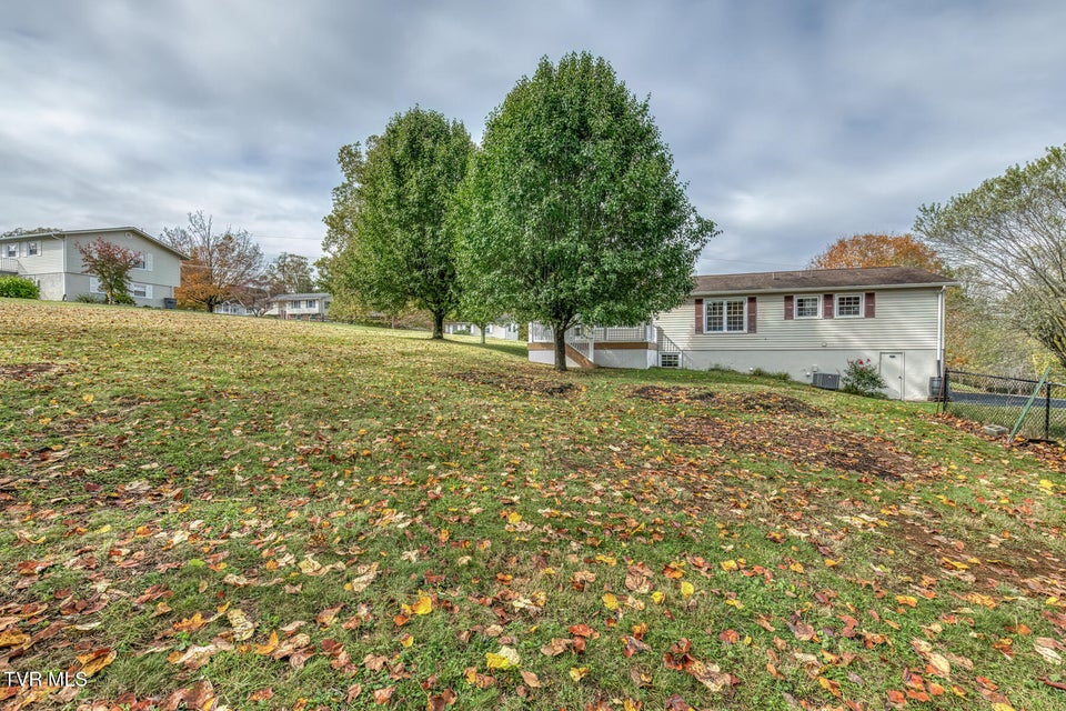 Photo #39: 228 Edgefield Road