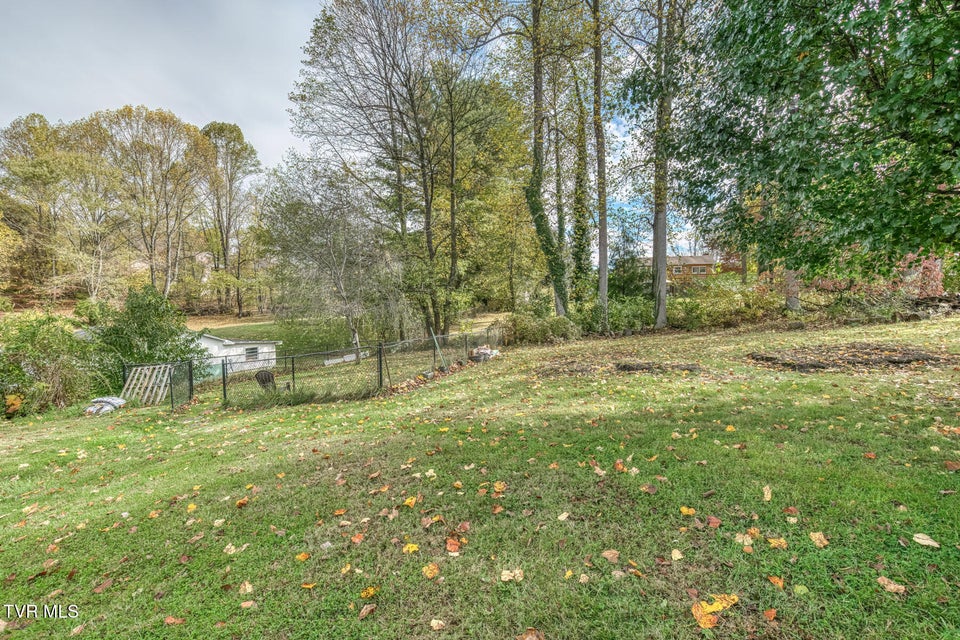 Photo #41: 228 Edgefield Road