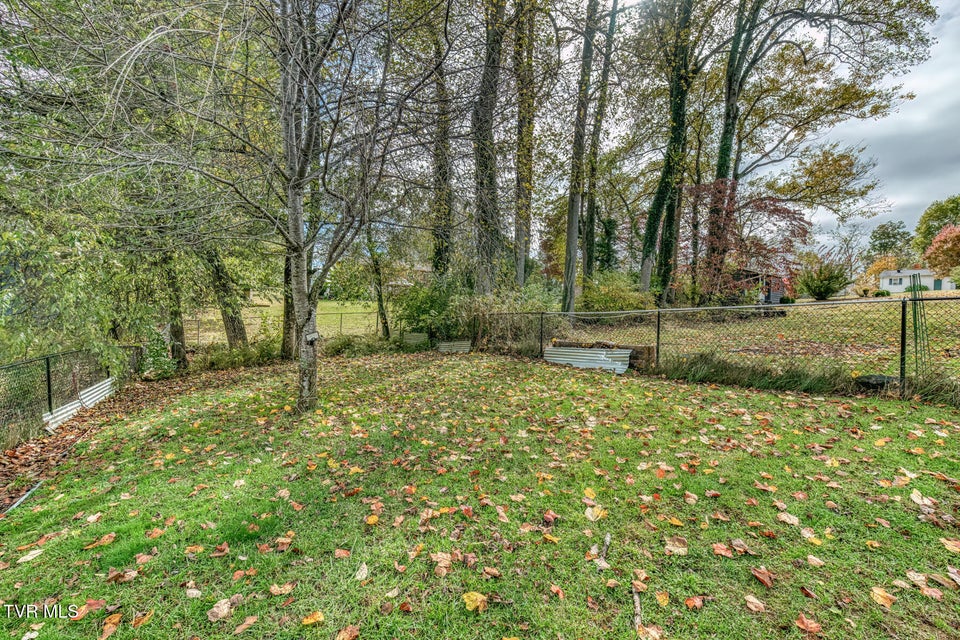 Photo #44: 228 Edgefield Road