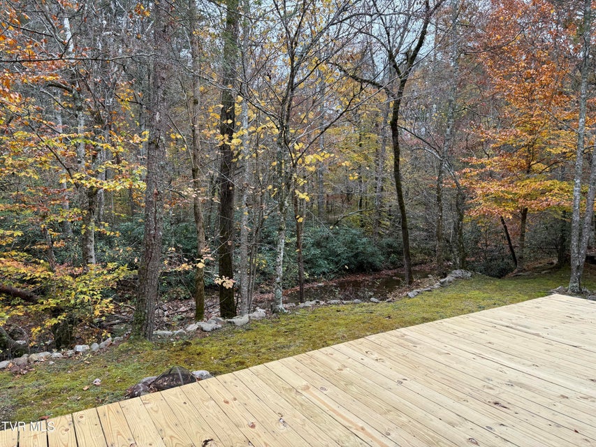 Photo #7: 5633 Lower Paint Creek Road