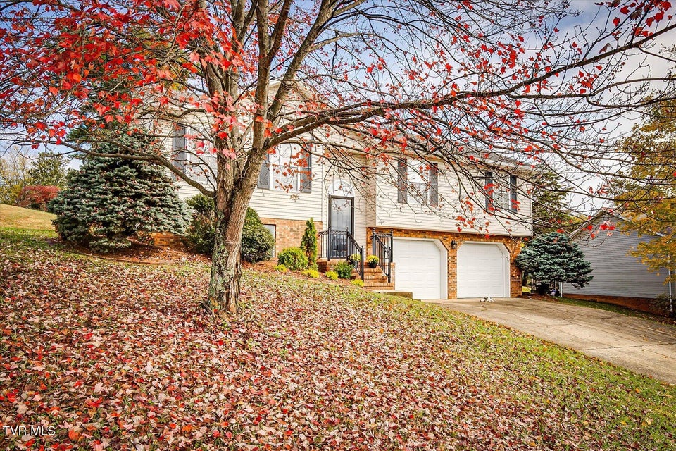 Photo #4: 1040 Morrell Court