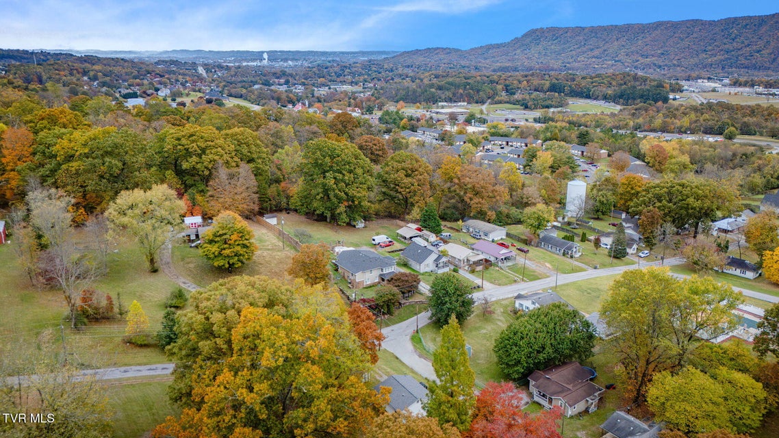 Photo #31: 447 Pine Street