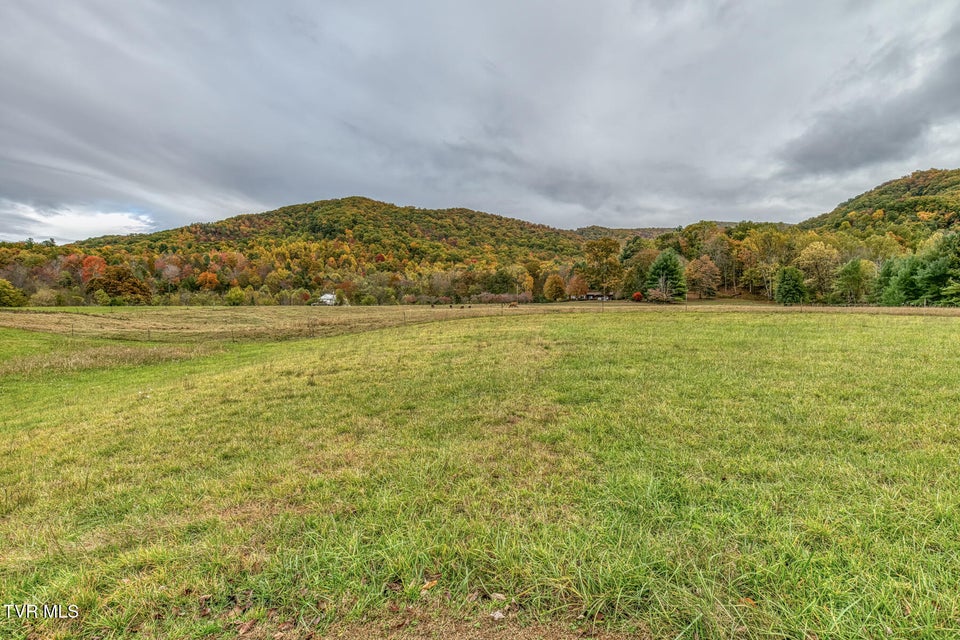 Photo #54: 2035 Highway 107 