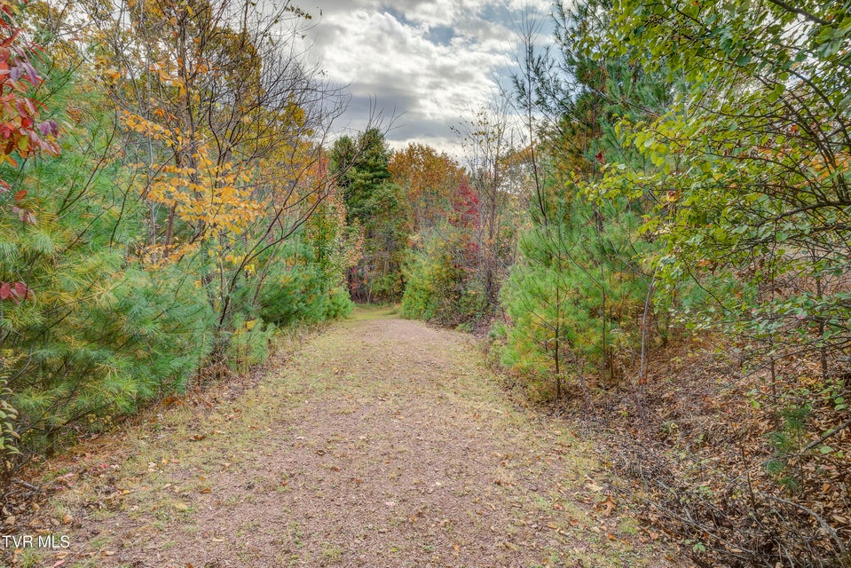 Photo #79: 185 Deer Tracks Circle Road