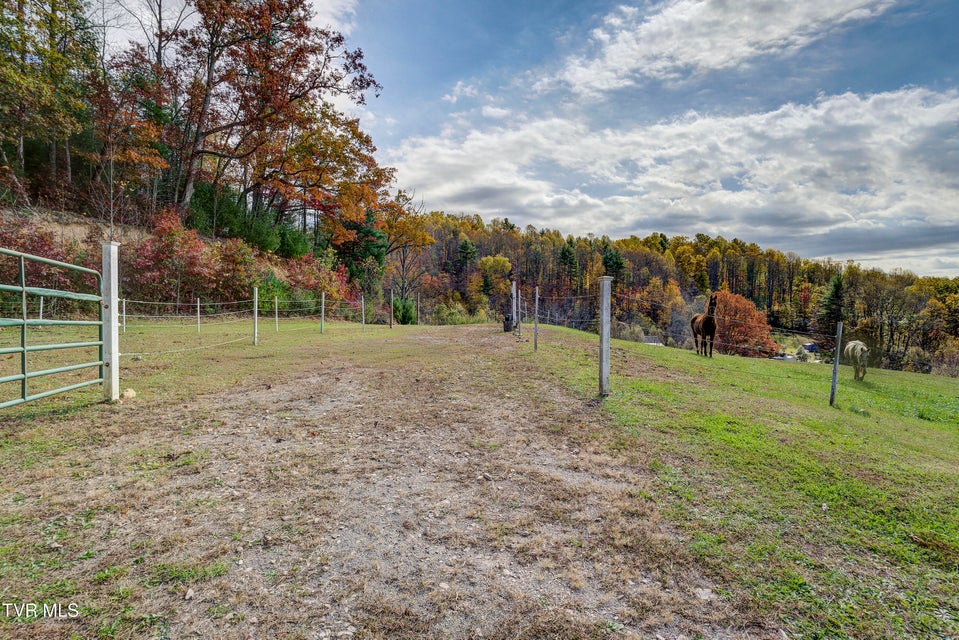 Photo #89: 185 Deer Tracks Circle Road