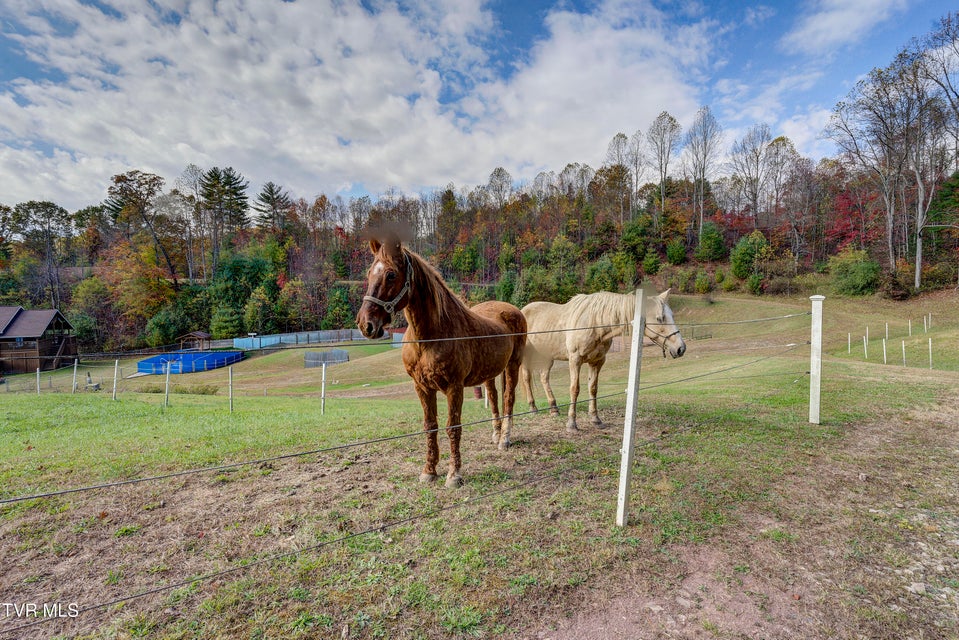 Photo #99: 185 Deer Tracks Circle Road