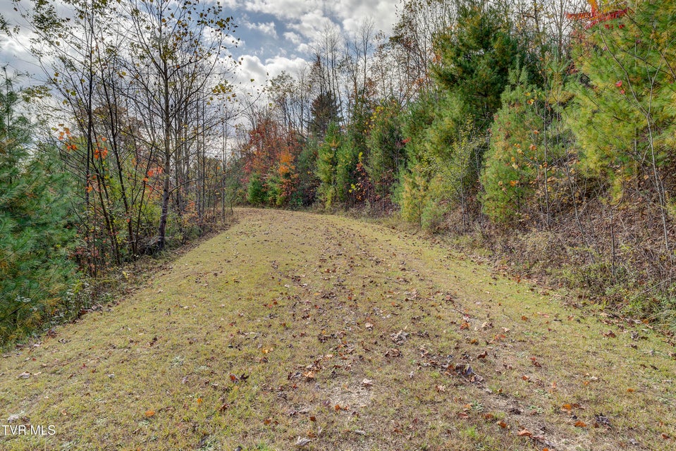 Photo #84: 185 Deer Tracks Circle Road