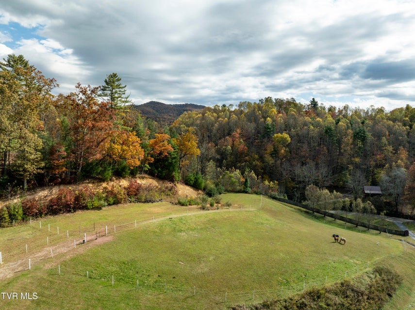 Photo #91: 185 Deer Tracks Circle Road