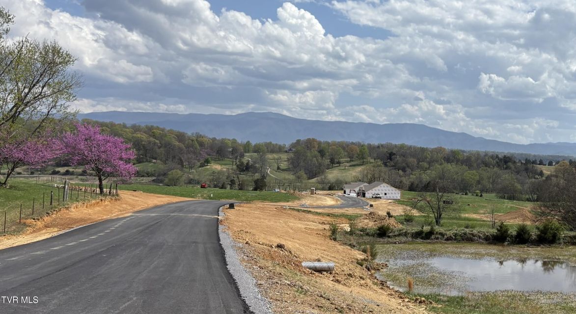 Photo #2: 270 Red Tail Ridge