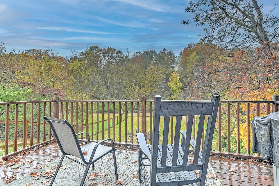 Photo #31: 128 Flint Street