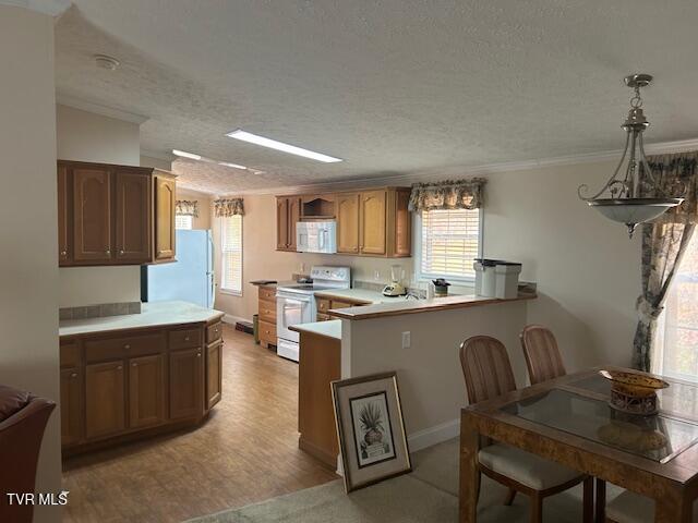 Photo #6: 111 Forester Lane