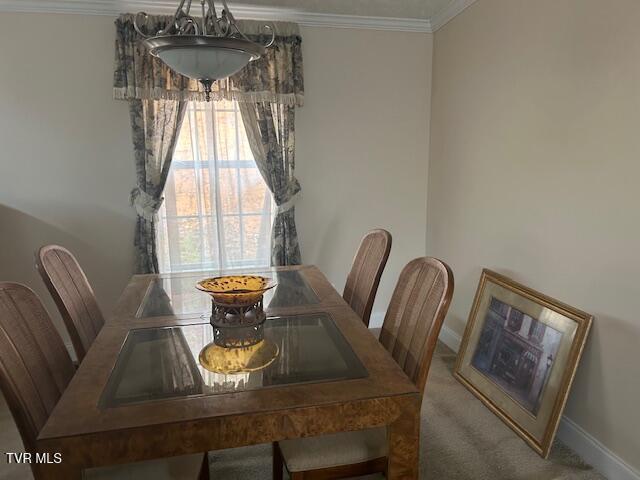 Photo #7: 111 Forester Lane