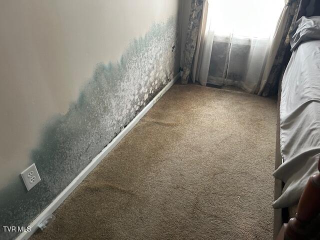 Photo #8: 111 Forester Lane