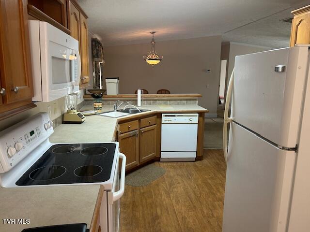 Photo #13: 111 Forester Lane