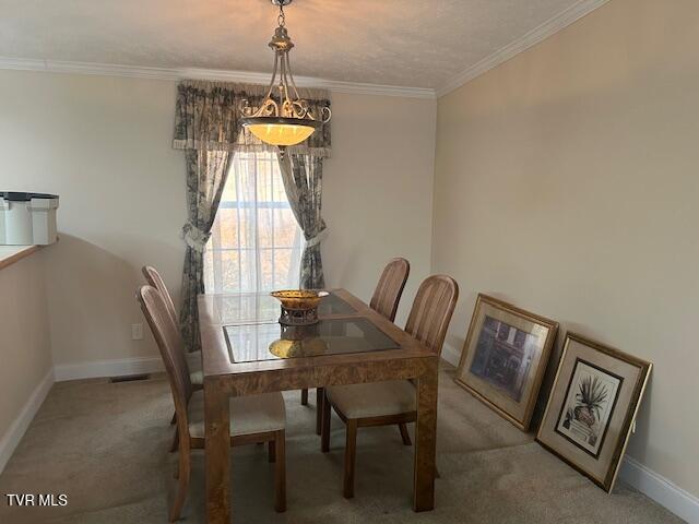 Photo #16: 111 Forester Lane