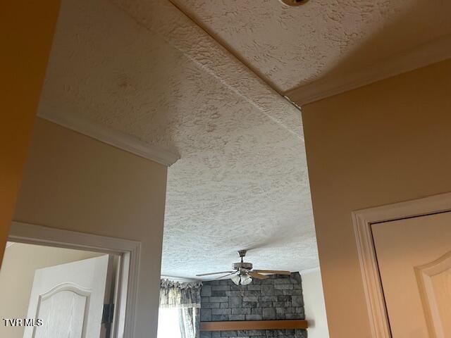 Photo #20: 111 Forester Lane