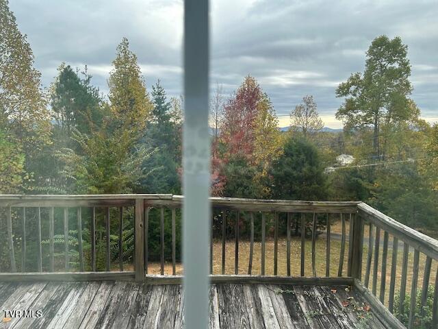 Photo #23: 111 Forester Lane