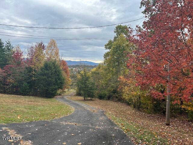 Photo #24: 111 Forester Lane