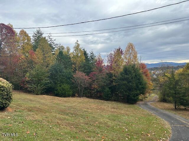 Photo #25: 111 Forester Lane