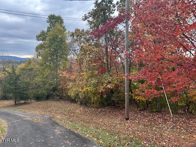 Photo #26: 111 Forester Lane