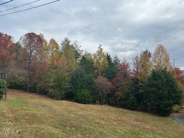 Photo #28: 111 Forester Lane