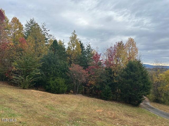 Photo #34: 111 Forester Lane