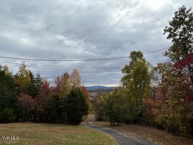 Photo #36: 111 Forester Lane