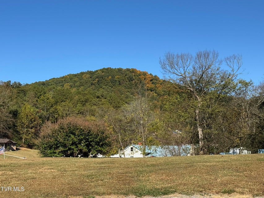 Photo #20: 1244 Shady Rest Drive