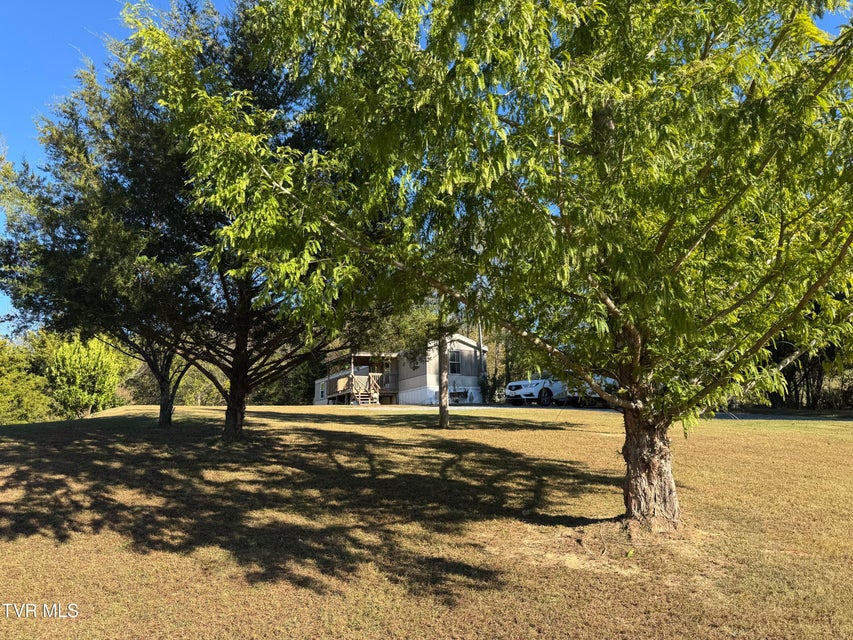 Photo #21: 1244 Shady Rest Drive