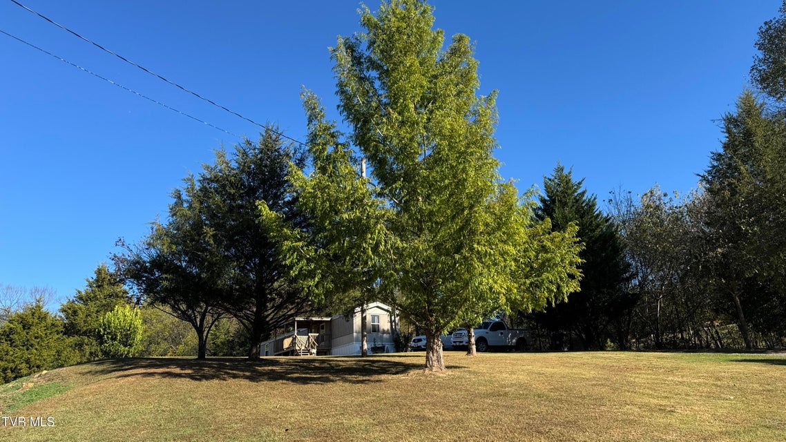 Photo #32: 1244 Shady Rest Drive