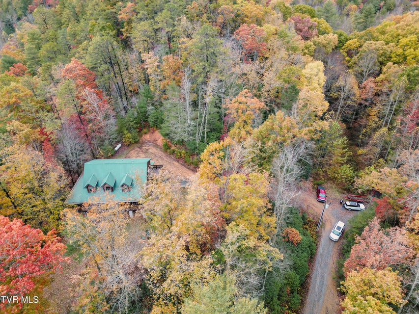 Photo #85: 13945 Asheville Highway