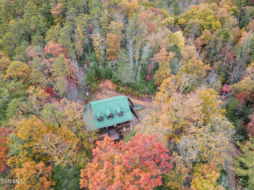 Photo #86: 13945 Asheville Highway