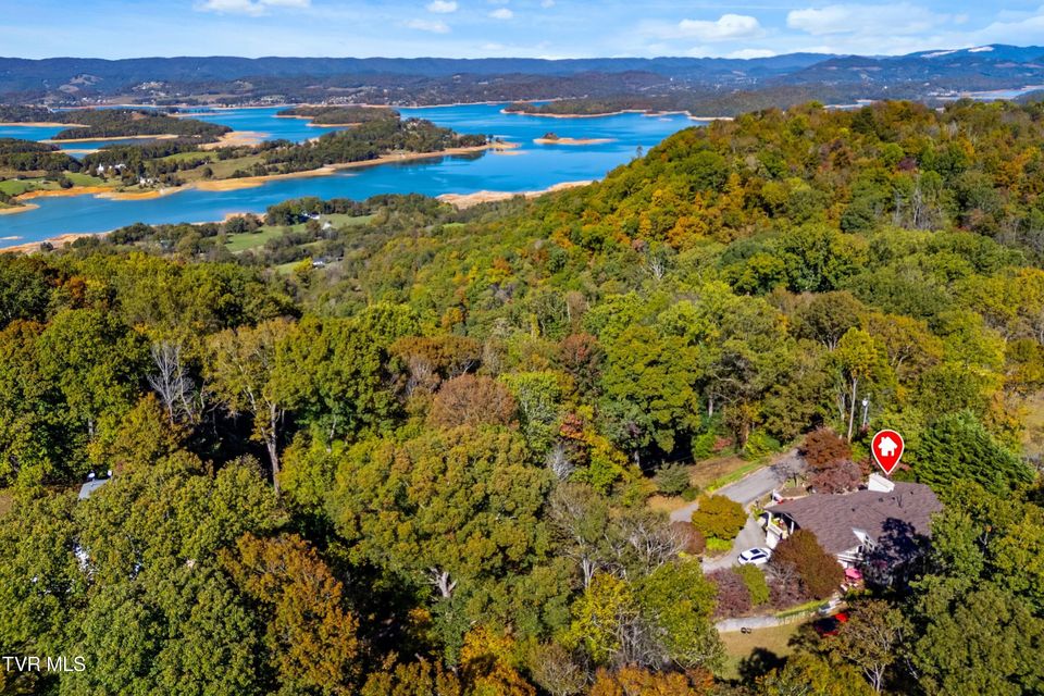 Photo #54: 1184 Mimosa Drive