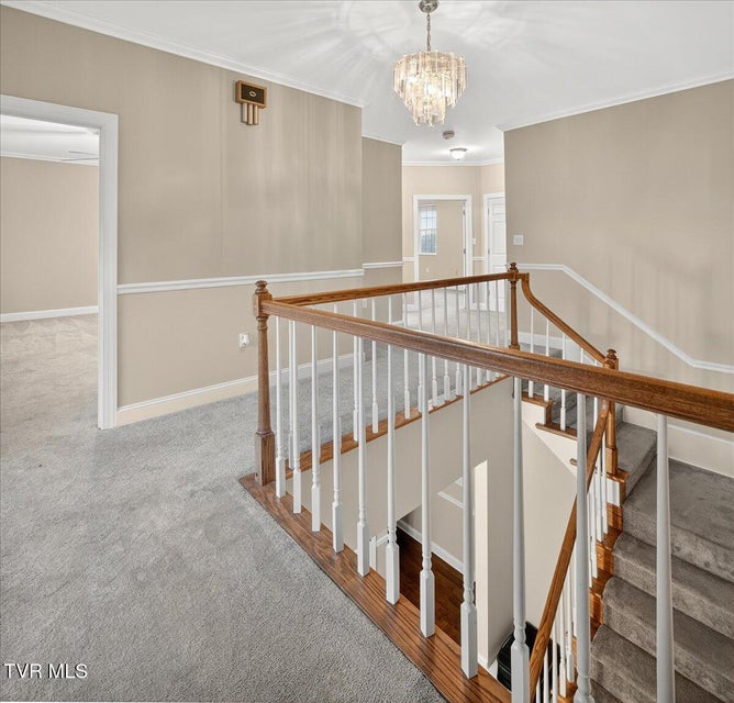 Photo #28: 1812 Boones Creek Road