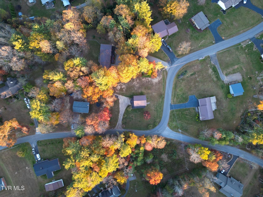 Photo #29: 353 Hemlock Street