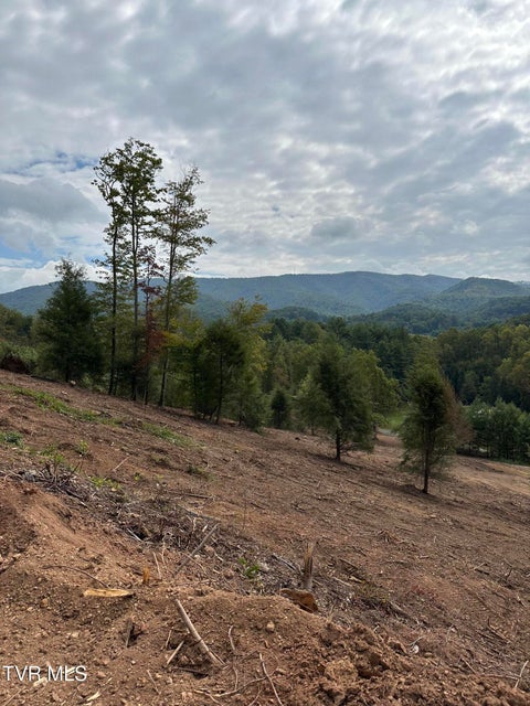 Photo #43: Tbd 000 Dug Hill Road