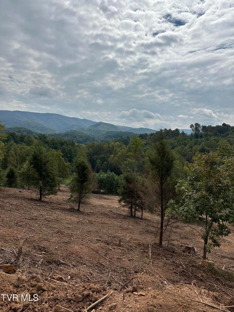 Photo #44: Tbd 000 Dug Hill Road