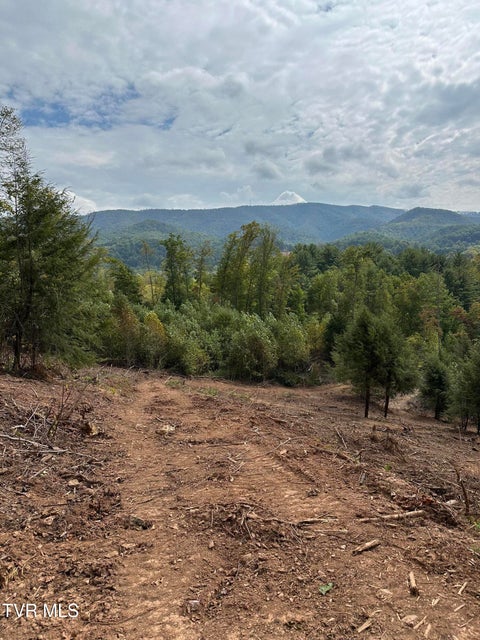 Photo #45: Tbd 000 Dug Hill Road