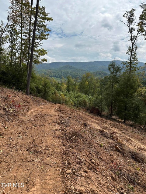 Photo #46: Tbd 000 Dug Hill Road