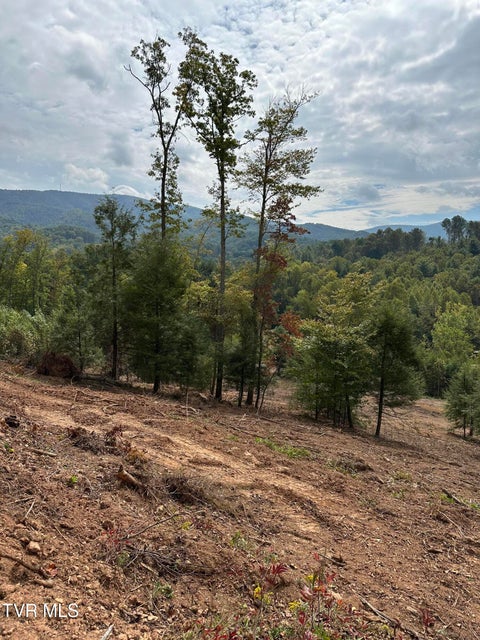 Photo #47: Tbd 000 Dug Hill Road