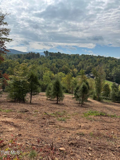 Photo #48: Tbd 000 Dug Hill Road