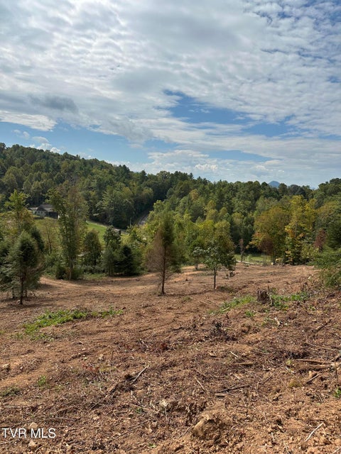 Photo #49: Tbd 000 Dug Hill Road