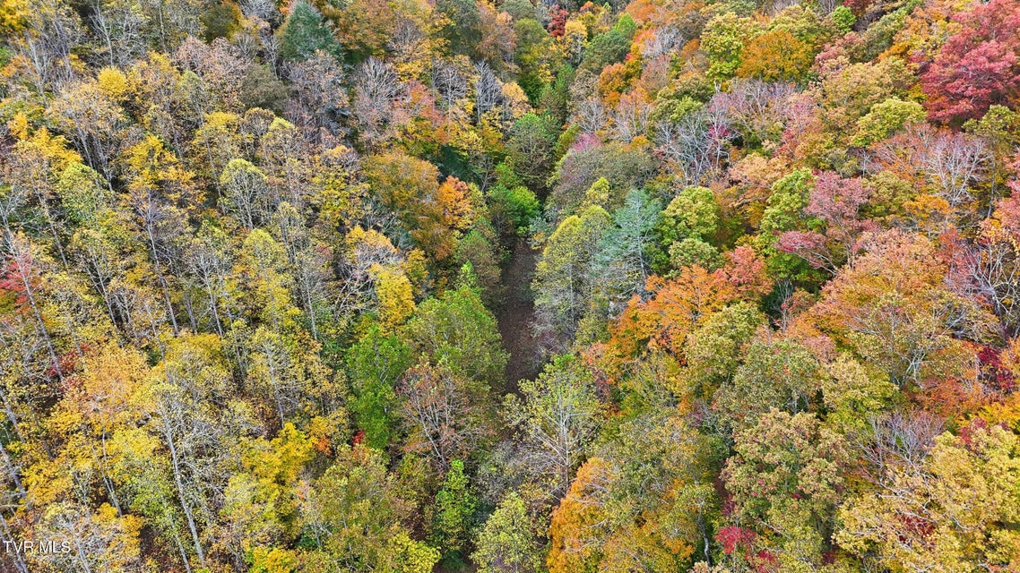 Photo #17: 5186 Lick Creek Road