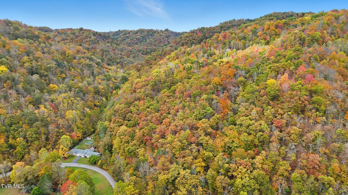 Photo #19: 5186 Lick Creek Road