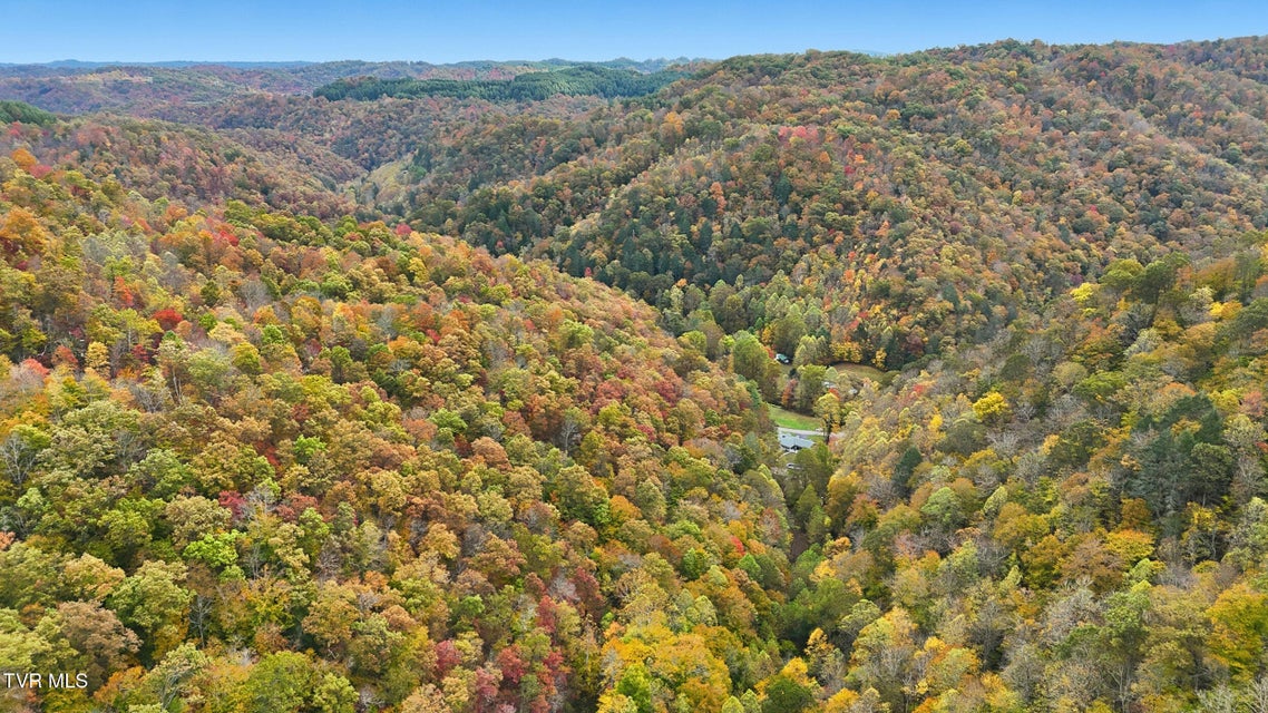 Photo #21: 5186 Lick Creek Road
