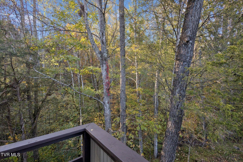 Photo #34: 137 Columbine Rd Road