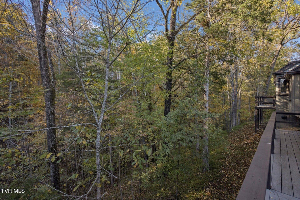 Photo #35: 137 Columbine Rd Road